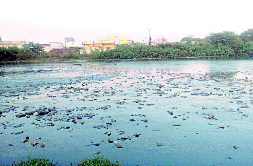 tandula river