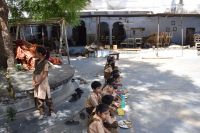 government school in udaipur