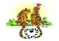  tigers coming to mukundara 