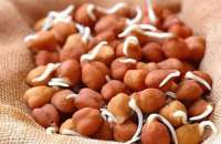 अंकुरित चना