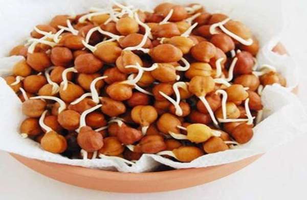 अंकुरित चना