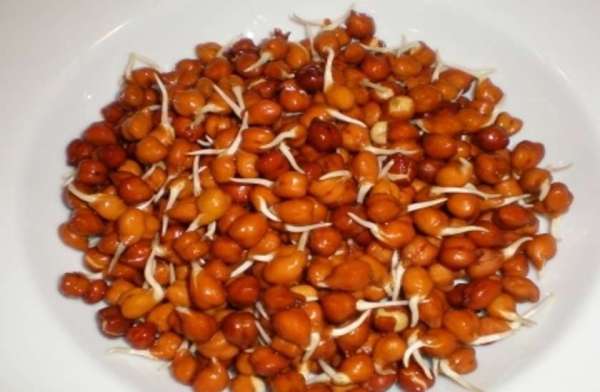 अंकुरित चना