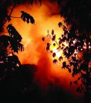 Fire fighter 'sick', flush with fire