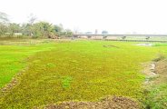 Tandula river