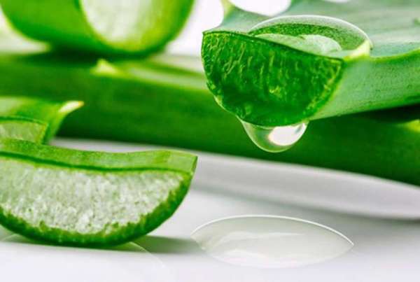 ग्वारपाठा