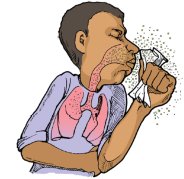 itarsi, health department, tb department, treatment, private hospitals