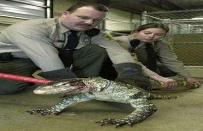 Short video poster image