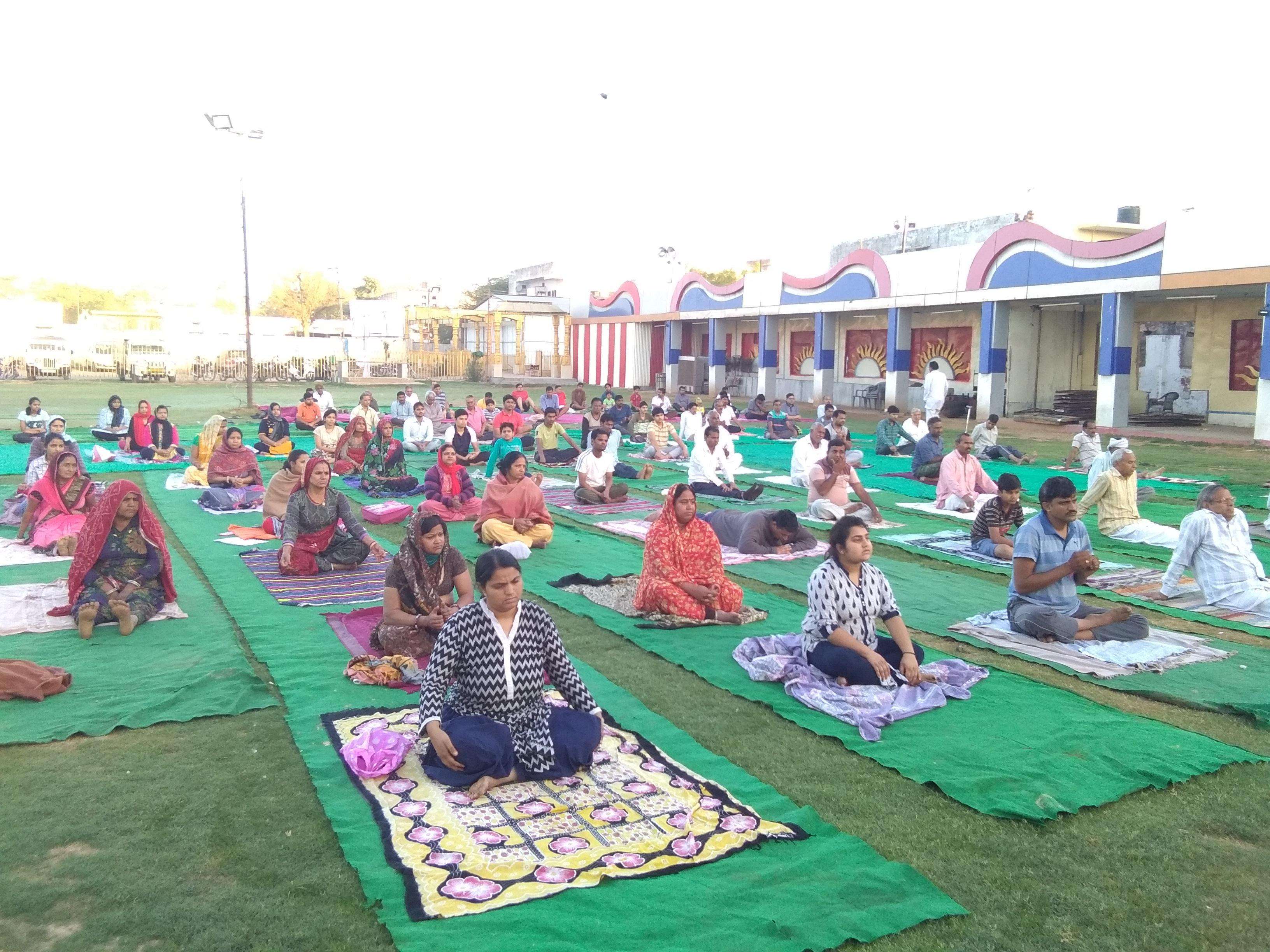 Hindi News: Yoga Camp 
