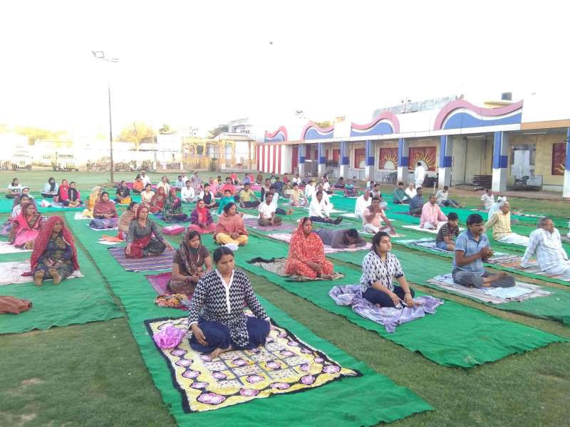 Hindi News: Yoga Camp