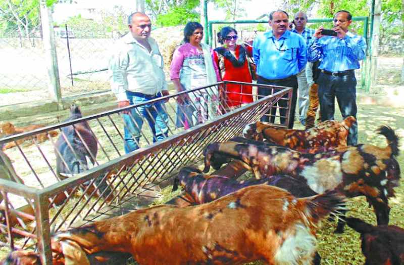 bhilwara, bhilwara news , Open from Krishi Vigyan Kendra in bhilwara, Latest news in bhilwara, Bhilwara News in hindi, Hindi News in bhilwara, Latest hindi news in bhilwara