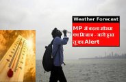 weather report