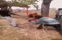 Dabang Badly beaten youth to Tied with tree and video viral