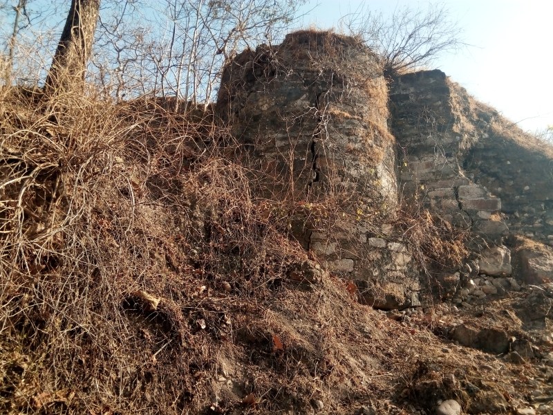 कभी राजगौड़ वंश की समृद्धि,शक्ति और वैभव का प्रतीक रहा चौगान या चौरागढ़ का किला अपने अस्तित्व के लिए संघर्ष कर रहा है।