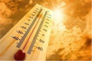 temperature