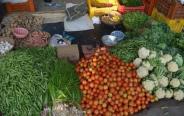 noida