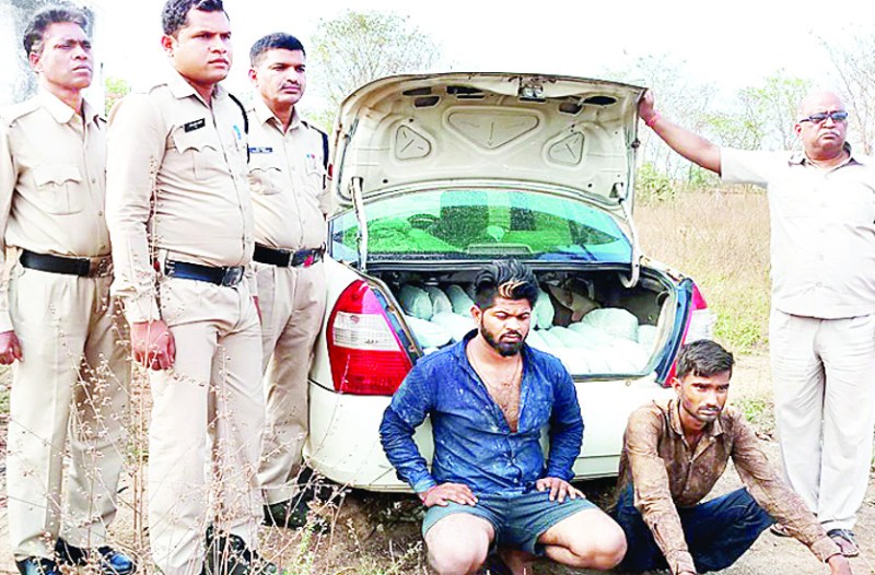 80 किलो गांजा के साथ दो तस्करों को गिरफ्तार किया