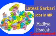 sarkari naukri