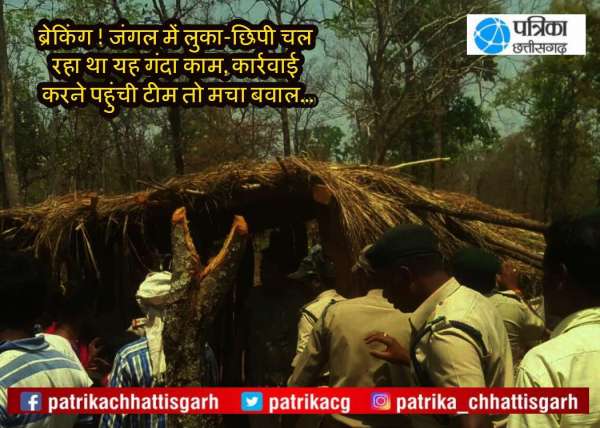 जंगल में बना रखा था 116 झोपडिय़ा, विभाग के हरकत में आते ही मचा बवाल...