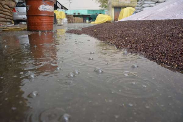 PHOTOS OF RAIN AND HAIL IN ALWAR