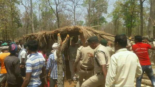 जंगल में बना रखा था 116 झोपडिय़ा, विभाग के हरकत में आते ही मचा बवाल...