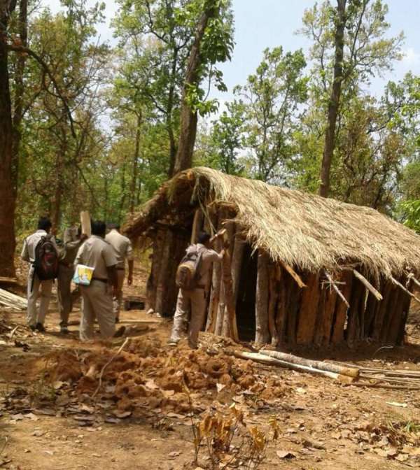 जंगल में बना रखा था 116 झोपडिय़ा, विभाग के हरकत में आते ही मचा बवाल...