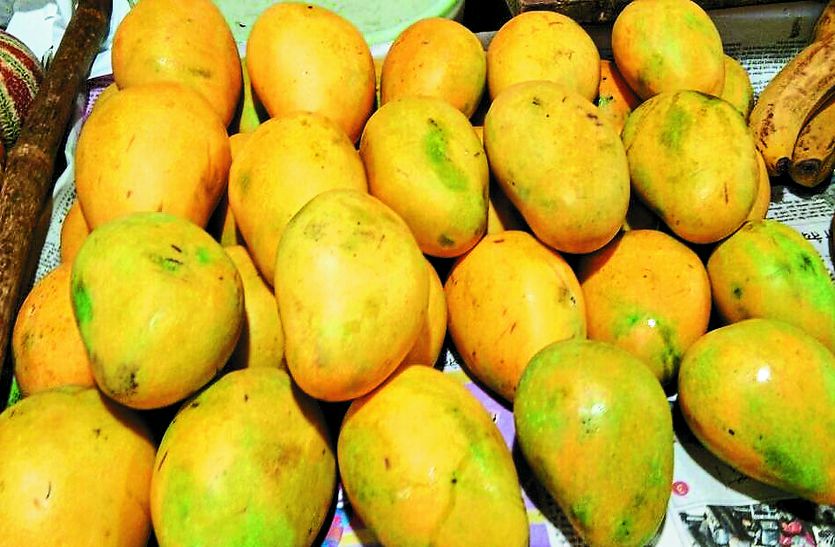 mango in alwar