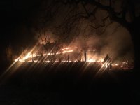 200 trees burnt by fire in the forest