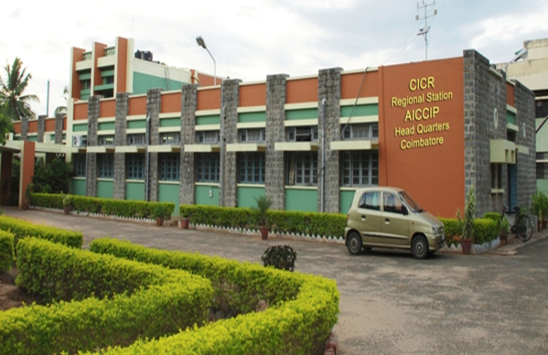 ICAR CICR young professionals