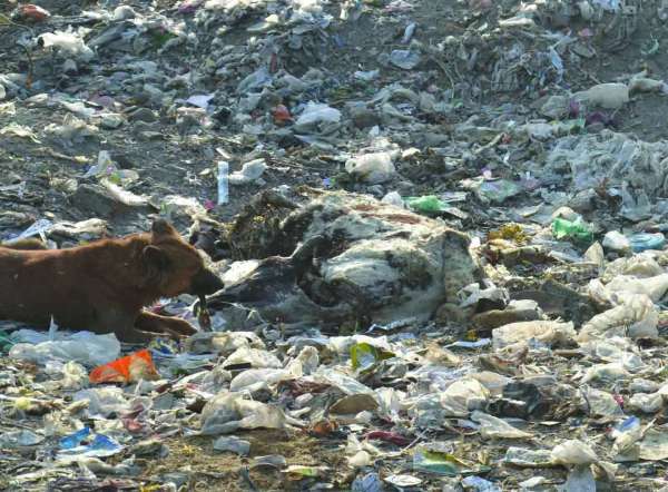 Rajsamand,Rajsamand news,Rajsamand local news,rajsamand news in hindi,Latest News rajsamand,Latest hindi news rajsamand,