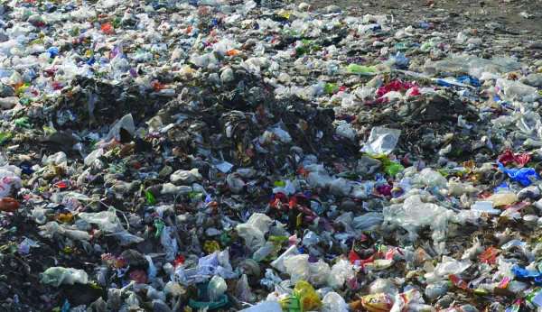 Rajsamand,Rajsamand news,Rajsamand local news,rajsamand news in hindi,Latest News rajsamand,Latest hindi news rajsamand,