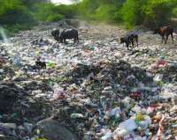 Rajsamand,Rajsamand news,Rajsamand local news,rajsamand news in hindi,Latest News rajsamand,Latest hindi news rajsamand,