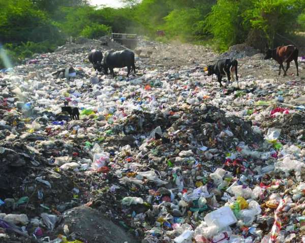 Rajsamand,Rajsamand news,Rajsamand local news,rajsamand news in hindi,Latest News rajsamand,Latest hindi news rajsamand,