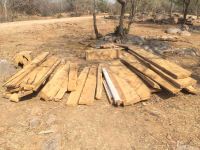 Three-range team raided, seized illegal teak wood in huge quantity