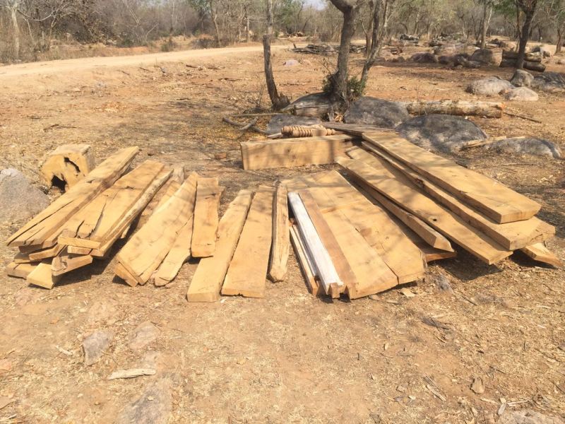 Three-range team raided, seized illegal teak wood in huge quantity