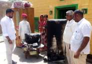 Jaisalmer patrika