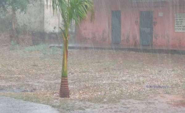 Hail fall in Surguja