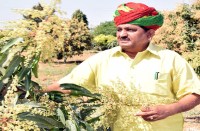  कृषि मंत्री डॉ. प्रभु लाल सैनी