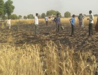 fire in field