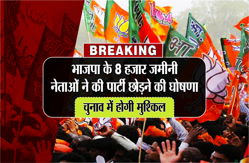 bjp workers