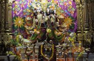 banke bihari