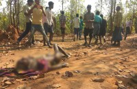 Elephant killed villager