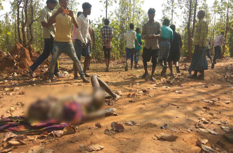 Elephant killed villager