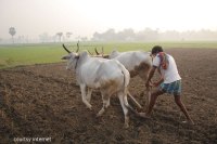 schemes for farmers