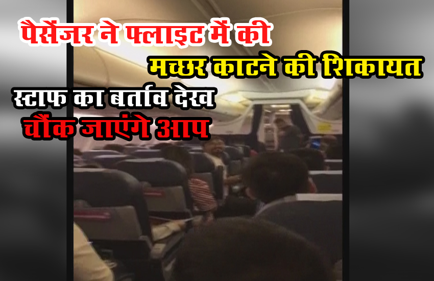 पैसेंजर ने फ्लाइट में की मच्छर काटने की शिकायत स्टाफ का बर्ताव देख चौंक जाएंगे आप