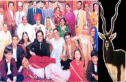 hiran