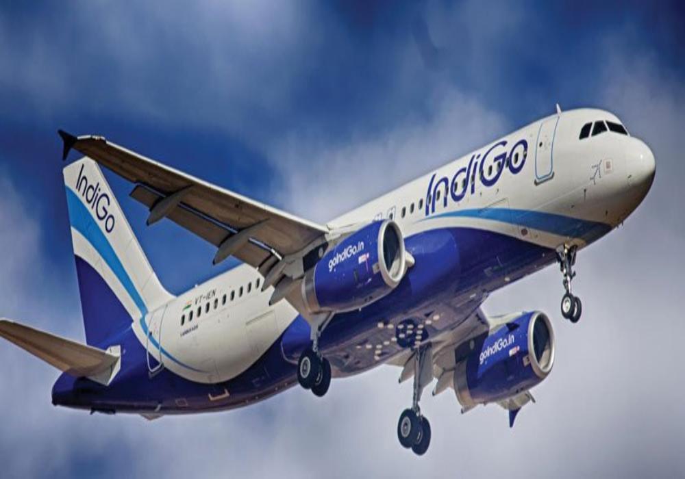 indigo