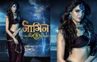 naagin 3 poster out