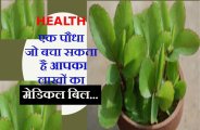 special plant