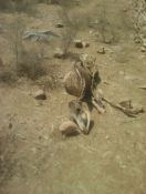 तपन से नहीं मिल रही राहत