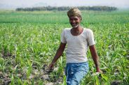 farmer